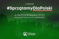 Więcej o: Sprzątamy dla Polski – grupa V „Chochliki”
