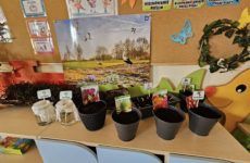 Więcej o: PRZEDSZKOLNY OGRÓDEK