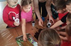 Więcej o: PRZYGOTOWANIA DO ŚWIĄT WIELKANOCNYCH W GRUPIE III „TROPICIELE”