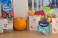 Więcej o: ZBIÓRKA KARMY – RAZEM MOŻEMY WIĘCEJ!