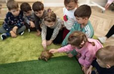 Więcej o: KREATYWNE ZAJĘCIA PRZYRODNICZE Z CREATURY