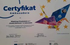 Więcej o: EUROPEJSKA ODSŁONA ŚWIATOWYCH DNI ORIGAMI Z EUROPE DIRECT RZESZÓW 2024 – OTRZYMANIE CERTYFIKATU