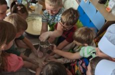 Więcej o: WARSZTATY PIECZENIA CHLEBA W GRUPIE V „CHOCHLIKI”