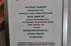 Więcej o: „PRZEDSZKOLE PROMUJĄCE ZDROWIE” – REJONOWY CERTYFIKAT